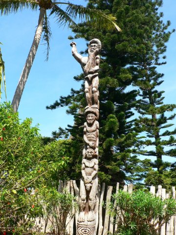 37- Un arbre de coutume canaque 
